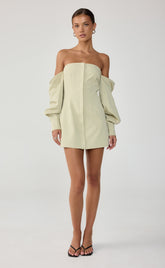 Raelynn Mini Dress (Sage)