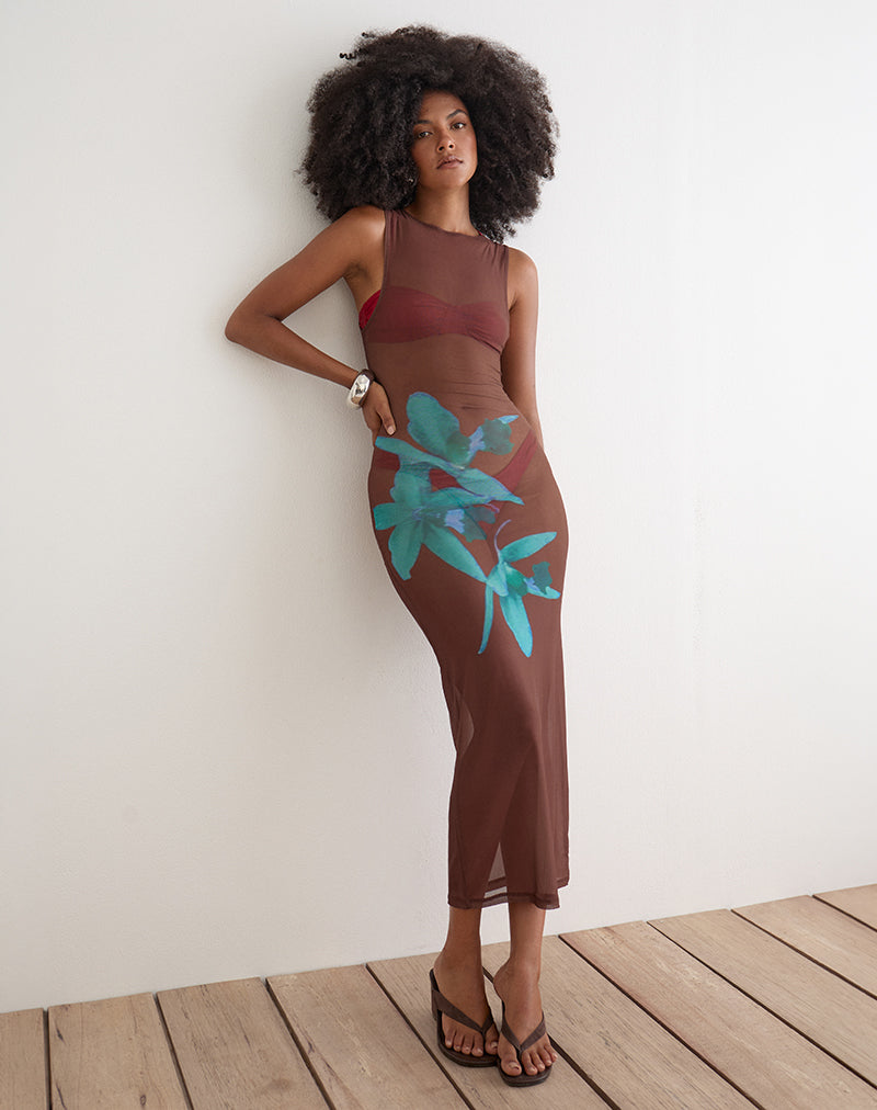 Fay Midi Dress in Brown with Blue Desert Rose