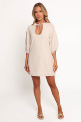 Sidney Mini Dress - Tan Stripe